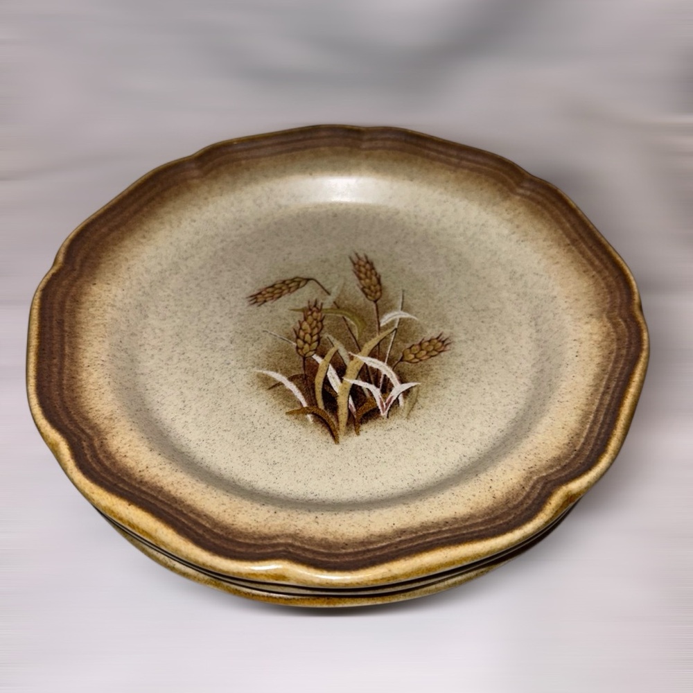 Set of 3 MIKASA Whole Wheat Granola Salad Plates – Vintage Stoneware Retro 70’s